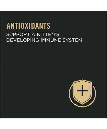 Purina Pro Plan Wet Kitten Food Salmon & Ocean Fish Entree - 85 g Can (24 Pack) - Buy Online on GoSupps.com