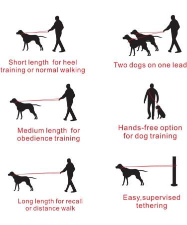 Hands Free Dog Leash - Adjustable Multifunctional Nylon Rope for Running, Walking, and Hiking - Double Lead for Small, Medium, Large Dogs - Black - Buy Online on GoSupps.com