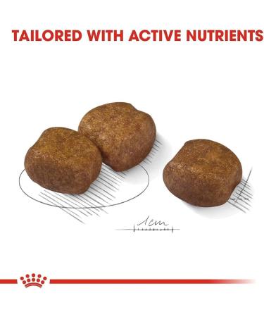 ROYAL CANIN Maxi Dental Care - 9 kg - Buy Online on GoSupps.com