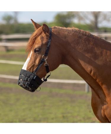 Marengos Fressbremse Horse & Pony Muzzle | Adjustable Black Muzzle for Shetland Pony and Warmbloods | Control Grass Consumption & Assist with Health Issues - Buy Online on GoSupps.com