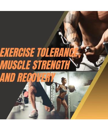 DaMazzi Powerhouse Performance Boost Powder - Muscle Strength, Recovery & Endurance - 30 Servings - Buy Online on GoSupps.com