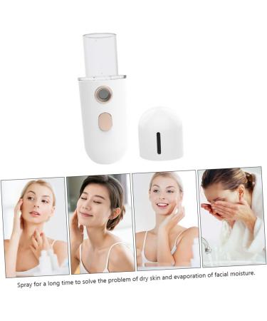 FRCOLOR 3pi ces Vaporisateur Facial Portable Nano Brumisation Humidificateur De Visage Pratique Pour Hydratation Quotidienne Pour Bureau Et Voyage Design Compact Et R servoir De - Buy Online on GoSupps.com