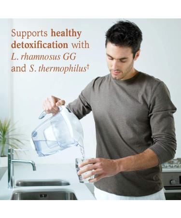 Garden of Life Liver Health+ Probiotic 90 Billion CFU, Vegan & Gluten Free - 30 Capsules - Buy Online on GoSupps.com