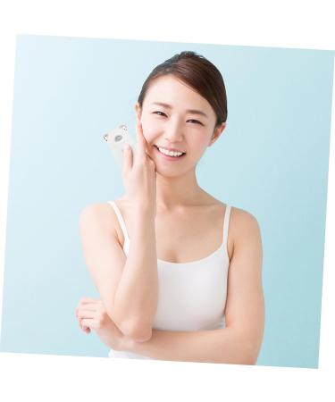 FRCOLOR 3 Pcs Beauty Humidifier Hand Held Steamer Nano Steamer Moisturizing Mister Face Hydrating Instrument - Buy Online on GoSupps.com