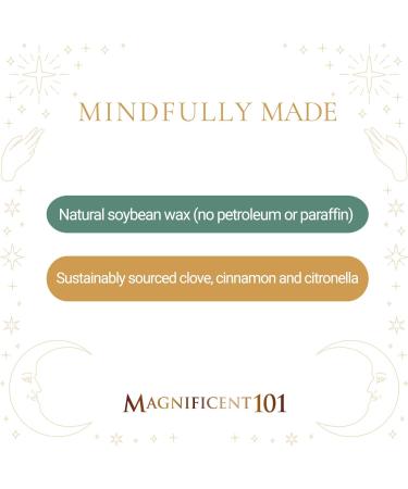 101 Long Lasting Money Smudge Candle - Clove Cinnamon & Citronella | 14 Oz Soy Wax - 56 Hour Burn for Energy Cleansing & Manifestation | Boost Cash Flow Worldwide - Buy Online on GoSupps.com