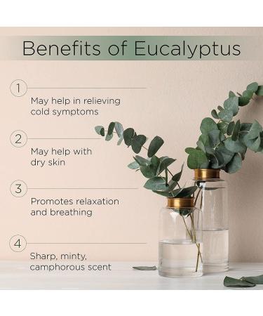 Radha Beauty Eucalyptus Essential Oil 4 oz - 100% Pure & Therapeutic Grade for Aromatherapy, Relaxation, and DIY Projects - Buy Online on GoSupps.com