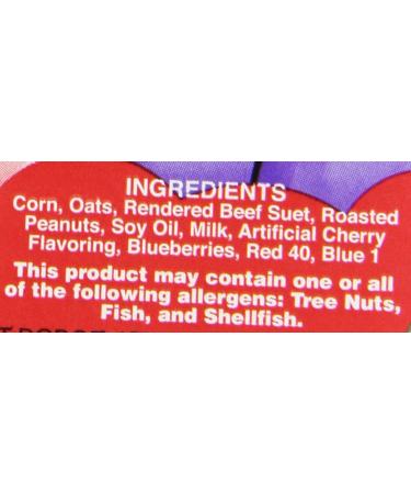 C&S No Melt Suet Dough Delights for Wild Birds - 12 Pack | Premium Bird Feeder Treats - Buy Online on GoSupps.com