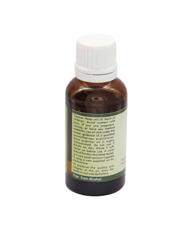 Buy R V Essential Pure Clove Essential Oil 5ml - 100% Pure & Natural Therapeutic Grade - International Shipping Available - Buy Online on GoSupps.com