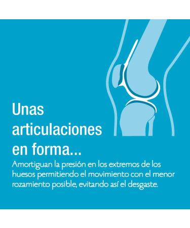  SANTIVERI SANTIVERI Dynamic Art Liquid Collagen with Fortigel Hydrolyzed Collagen / Bottle with Syrup 240ml - Buy Online on GoSupps.com