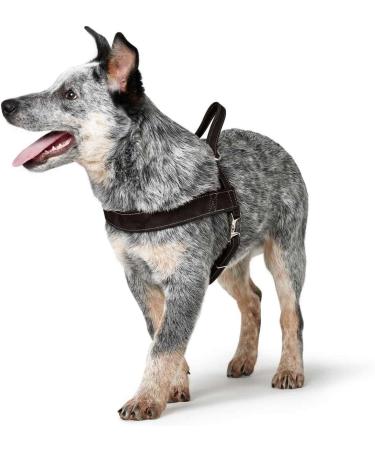 HUNTER Norwegian Harness for Hunting | Adjustable 71-97 cm | Black Color - Shop Now for International Shipping! - Buy Online on GoSupps.com