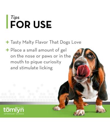 Nutri-cal High Calorie Nutritional Supplement for Dogs 4.25 Ounce (Pack of 3) - Buy Online on GoSupps.com