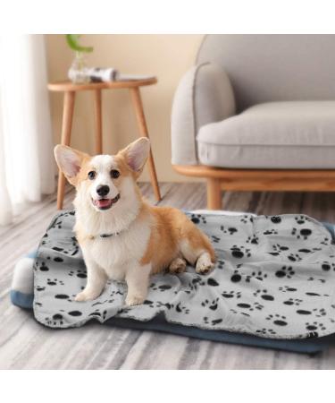 Comsmart Warm Paw Print Blanket/Bed Cover for Dogs and Cats | 6 Pack, 24x28 Inches, Multi-colored - Buy Online on GoSupps.com