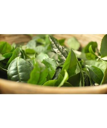 Me mer Darjeeling Tea - 50 Vegan Gluten-Free & Lactose-Free Tea Bags for International Shipping - Buy Online on GoSupps.com