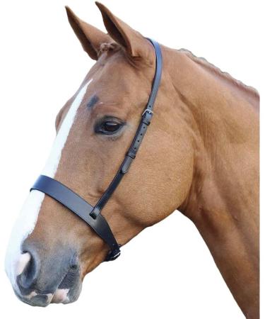 Shires Blenheim Hunter Cavesson Noseband-Black Cob - Buy Online on GoSupps.com