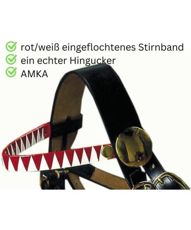 AMKA Decorative Halter - COB Show Bridle & Driving Halter with Brass Fittings | International Shipping - Buy Online on GoSupps.com