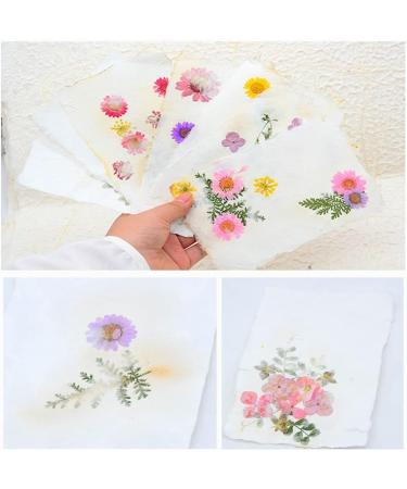 Worown Plastic Paper Making Frame Kit - 5x7 Inch Paper Screen for DIY Crafts - Buy Online on GoSupps.com