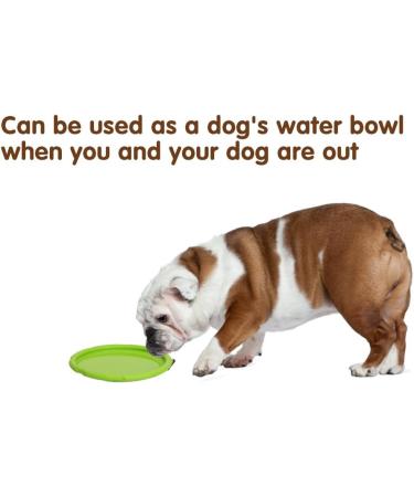 Vivifying Frisbee Dog - 2 Pack 18cm Natural Rubber Dog Frisbees for Land & Water (Green & Orange) - Durable & Fun! - Buy Online on GoSupps.com