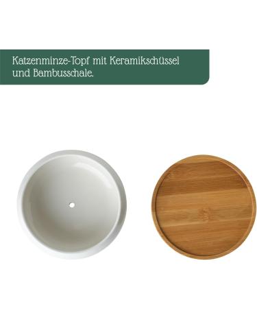 Pfotolymp Cat Grass Bowl Set - Ceramic Bowl Bamboo Coating Coconut Seeds & Tools for Healthy Cat Greens | International Shipping - Buy Online on GoSupps.com