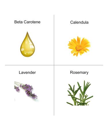 Buy The Organic Pharmacy Carrot Butter Refill Eco 50ml - Organic Skincare for All Skin Types - International Shipping Available - Buy Online on GoSupps.com