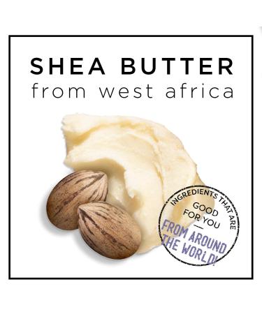 HASK Shea Butter Moisturizing Deep Conditioner Treatments - Pack of 12 (1.75 oz each) | Color Safe, Gluten Free, Sulfate Free, Paraben Free - Buy Online on GoSupps.com