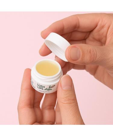 SandiBee Botanicals Lush Lips Vegan Lip Treatment Balm Hydrating Daily Moisturizer 0.25 fl oz Clean Formula - Buy Online on GoSupps.com