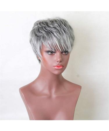 Lady Silver Grey Short Curly Wig for Women - Synthetic Natural Wavy Fluffy 8 Costume Hair - Buy Online on GoSupps.com