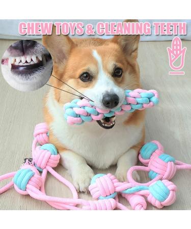 Speedy Panther 7Pcs Dog Rope Toys for Small Dogs Puppy Rope Toys From 8 Weeks Small Dog Puppy Chew Toys Natural Cotton Dog Tug Toys Puppy Teething Toys for Puppys Small Mediuem Dogs Pink - Buy Online on GoSupps.com