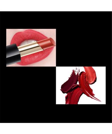 Waterproof Lip Color Lipstick & Lip Balm Makeup Set - Long Lasting, High Pigment Nude Lip Gloss - Mauve Lip Liner Included - Buy Online on GoSupps.com