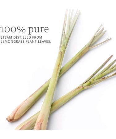Now Foods Organic Lemongrass Essential Oil 1 fl oz | Pure & Natural Aromatherapy - Buy Online on GoSupps.com