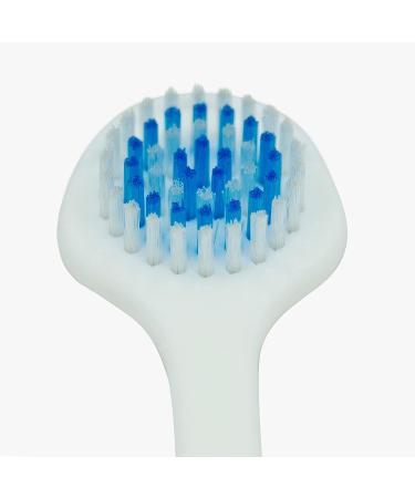 Genco Dental Tongue Scraper - Fresh Breath for Adults & Kids | Oral Hygiene Tool for Bad Breath Treatment (1 Pack) - Buy Online on GoSupps.com
