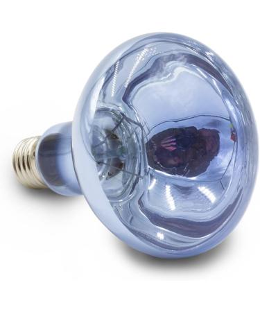 Terra Exotica Neo Spot | UV Radiation Terrarium Reflector | Heat & Light Source (25W-150W) for Terrarium Dwellers - Global Shipping - Buy Online on GoSupps.com