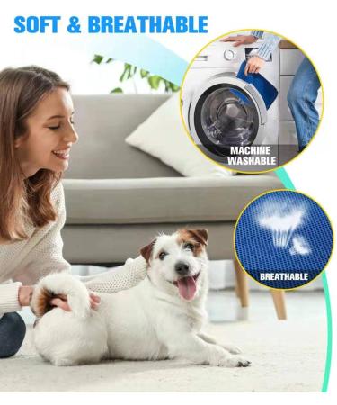 KKIIMATT 12-in-1 Pet Care Dishes for Cats & Extra Small Dogs | Breathable & Convenient Design for Grooming & Clipping - Buy Today! - Buy Online on GoSupps.com