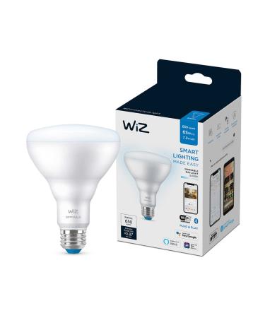 WiZ Connected Daylight 60W BR30 Smart WiFi Light Bulb, Dimmable 5000K, Compatible with Alexa and Google Home Assistant, No Hub Required,1 Bulb BR30 Daylight (5000k) 1 Count (Pack of 1) - Buy Online on GoSupps.com