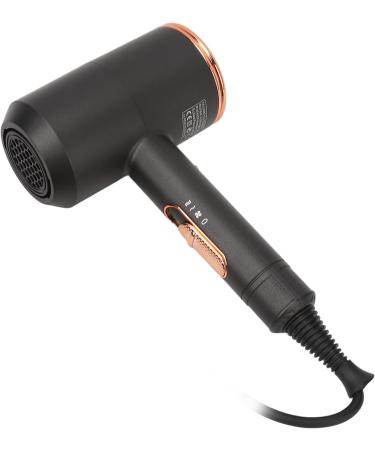 Professional Ionic Hair Dryer with U Shaped Heating Wire Powerful 1800W Fast Drying (US Plug 100 240V 110V) - Buy Online on GoSupps.com