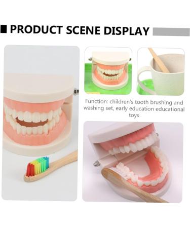 Shop Minkissy 3 Sets Early Dental Education Toys - Preschool Toiletries Puzzle & Abs Reusable | International Shipping Available - Buy Online on GoSupps.com