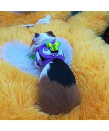 2 Pcs Chinchilla Harness and Leash Small Animals Guinea Pig Walking Harness Vest No Pull Soft Comfort Vest Harness for Hamster Squirrel Ferret and Similar Small Pets (S) - Buy Online on GoSupps.com