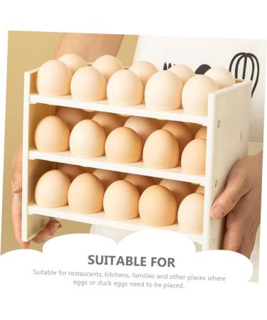 CIYODO Garnish Tray egg storage box drawer storage organizer refrigerator egg organizer eggs storage shelf Can put Egg Holder - Buy Online on GoSupps.com
