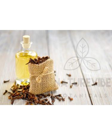 Naturevibe Botanicals Organic Clove Buds 3.53oz - Non-GMO, Gluten Free Indian Spice (100gm) - Buy Online on GoSupps.com
