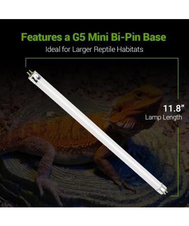 2 Pack 8W-Watt T5 HO Reptile Light Desert UVA UVB 10.0 Fluorescent Tube - 12" Terrarium Hood Light Suitable for Desert Reptile Lizards Bearded Dragons & Promotes Natural Behavior UVB Bulb 8W - 12 Inch UVB 10.0 - Buy Online on GoSupps.com