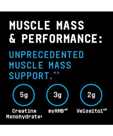 BEYOND RAW Dynamic Gainer - High-Tech Mass Gainer for Optimal Absorption & Strength | Vanilla Cheesecake | 15 Servings - Buy Online on GoSupps.com