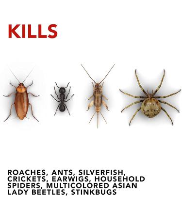 Raid Ant and Roach Killer 1.09 lb (Pack of 4) | Fragrance-Free Formula - Buy Online on GoSupps.com