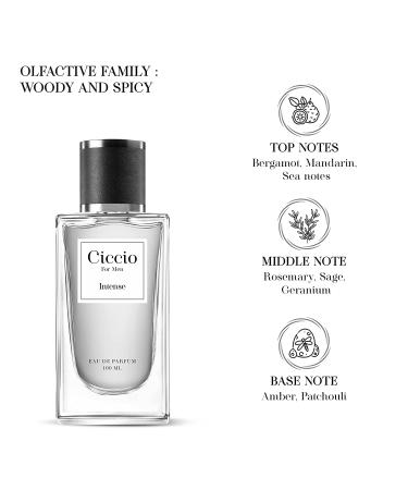 Cic-cio Intense Eau De Liquid Per-fume For Men With Bergamot Mandarin Rosemary Sage And Amber|Premium Long Lasting Woody Aquatic Fragrance Scent|Perfect Perfume For Summer (Pack Of 2) 100Ml Each - Buy Online on GoSupps.com