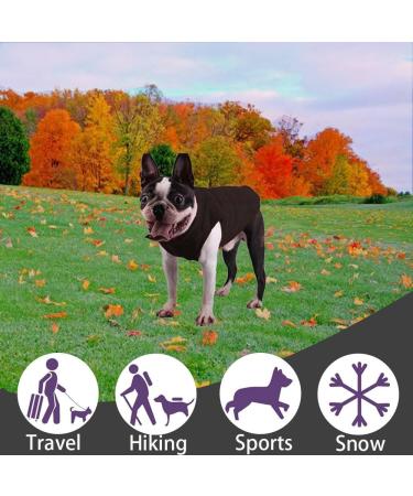 Shop XL Black Dog Coat & Sweater for Small Dogs | Chihuahua Clothing for Winter & Indoor/Outdoor Use - Buy Online on GoSupps.com