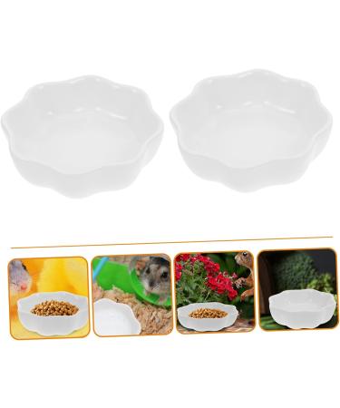BESPORTBLE 2pcs Hamster Ceramic Bowl Wear- Bowl Mini Feeding Bowl Ceramic Chinchilla Bowl Hedgehog Bowl Ceramic Hamster Feeder Ceramic Food Dish Guinea Bowl Mini Food White Ceramics Ornaments 7X7X2.4CM White - Buy Online on GoSupps.com