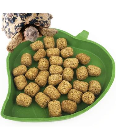 ANZONGYI 2 Pieces Leaf Shape Reptile Food Bowls Food Feeding and Water Dish Plate Used for Tortoise Corn Snake Crawl Pet Drinking and Eating - Buy Online on GoSupps.com