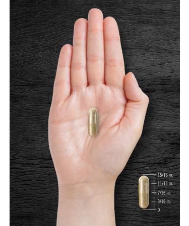 Buy Carlyle Extra Strength Pygeum 4000 MG - 200 Capsules | Premium Herbal Supplement - Buy Online on GoSupps.com