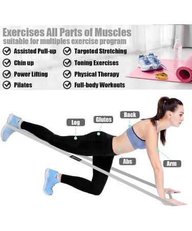 GAIYAH Fitness Fabric Resistance Bands Set for Women - Long Pull Up Bands with Handles for Exercise - Stretch Loop Bands in Gray, Dark Gray, and Black - Buy Online on GoSupps.com