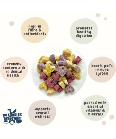 No Furries Delights 100% Organic & All Natural Treat for Rabbit Hamster Guinea Pig Chinchilla Pet Rat Mice Healthy Small Animal Enrichment Bonding Training (Lucky Variety Pack 100g) - Buy Online on GoSupps.com