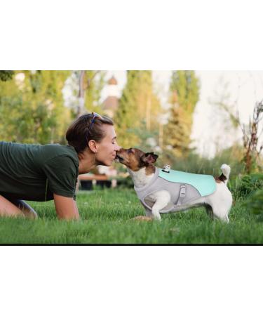 TVMall Dog Cooling Vest - Breathable Mesh Cooling Jacket for Summer | Adjustable Reflective Dog Coat for All Sizes (M Blue) - Buy Online on GoSupps.com
