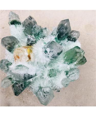 Natural Crystal Rough Natural Green Ghost Phantom Quartz Crystal Cluster Rock Stones and Crystals ReikiSpecimen Home Deco for Decoration Stone Generator (Size : 700-800g) - Buy Online on GoSupps.com